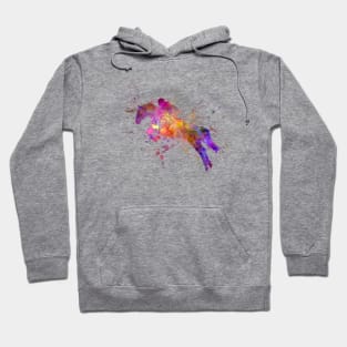 Watercolor horse show Hoodie